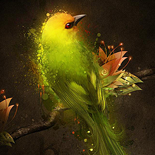 免费测试呼死你